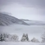 View *