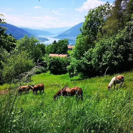 Апартаменты View *